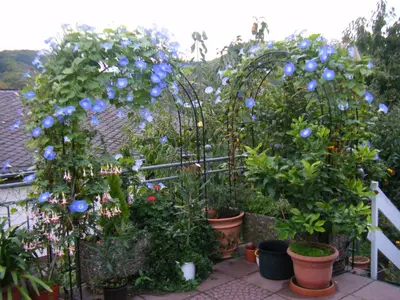 Ein Garten an der Unterkunft Ferienwohnung M. Lemmermeyer