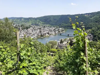 Naturlandschaft in der Nähe der Ferienwohnung