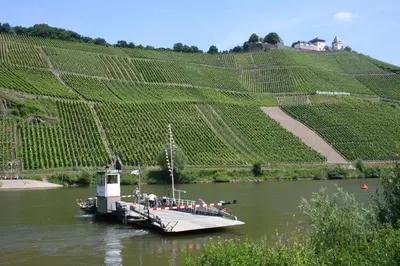 Naturlandschaft in der Nähe der Ferienwohnung