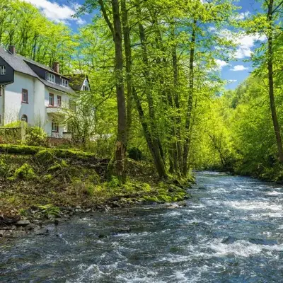 Wald Villa Üssbach
