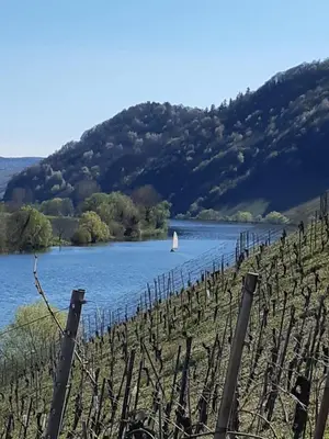 Naturlandschaft in der Nähe des Hotels