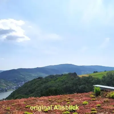Schau-Rhein#2 - on Top of Bacharach