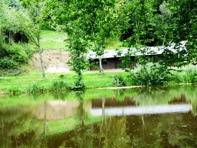 Naturlandschaft in der Nähe der Ferienwohnung