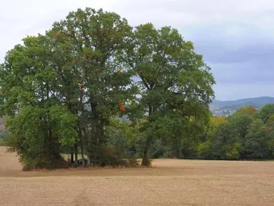 Naturlandschaft in der Nähe des Ferienhauses