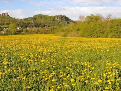 Naturlandschaft in der Nähe des Ferienhauses