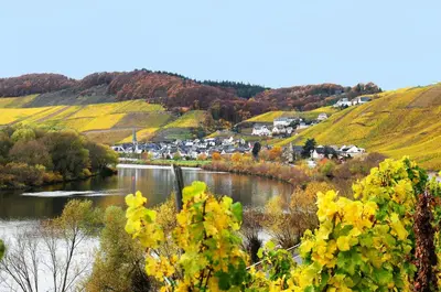 Naturlandschaft in der Nähe der Pension