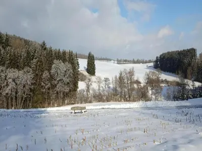 Lissendorf Forest View Lodge im Winter