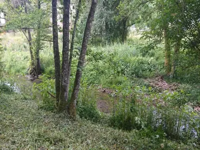 Naturlandschaft in der Nähe der Ferienwohnung
