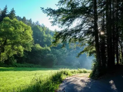 Naturlandschaft in der Nähe der Ferienwohnung
