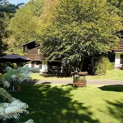 Chalet in Germany with Fireplace & Terrace