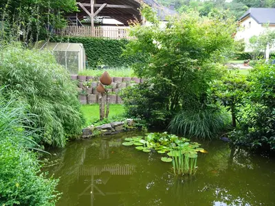 Naturlandschaft in der Nähe der Ferienwohnung