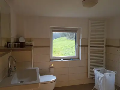 Ein Badezimmer in der Unterkunft gemütliche Ferienwohnung in Kaifenheim
