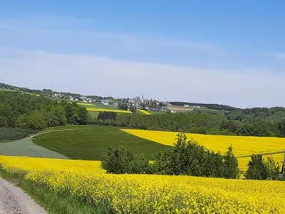 Naturlandschaft in der Nähe der Ferienwohnung