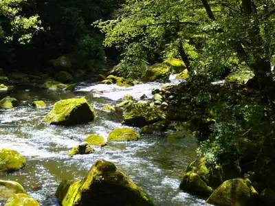 Naturlandschaft in der Nähe der Ferienwohnung