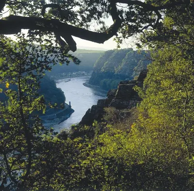 Naturlandschaft in der Nähe des Hotels