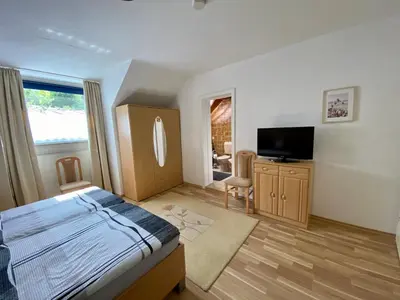 TV/Unterhaltungsangebot in der Unterkunft Ferienwohnung Metzen