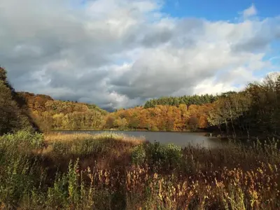 Naturlandschaft in der Nähe der Ferienwohnung