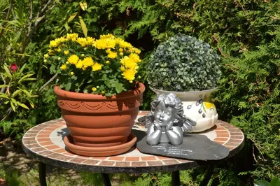 Ein Garten an der Unterkunft Ferienwohnung Heinen