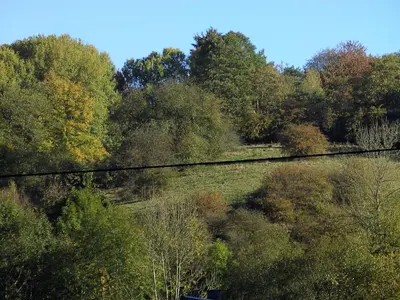 Naturlandschaft in der Nähe des Hotels