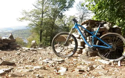 Radfahren an der Unterkunft Landgasthof Zur Post, Hochwälder Radstation oder in der Nähe