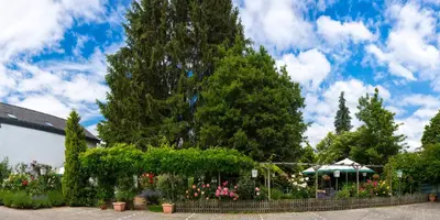 Ein Garten an der Unterkunft Hotel zur Post