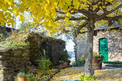 Ein Garten an der Unterkunft Hotel zur Post