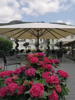Ein Garten an der Unterkunft Moselromantik Hotel Am Panoramabogen