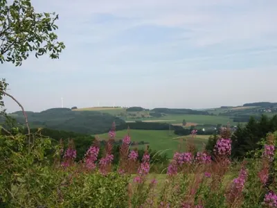 Naturlandschaft in der Nähe des Resorts