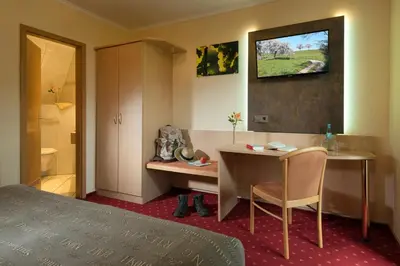 TV/Unterhaltungsangebot in der Unterkunft Weinhotel Sonnenschein