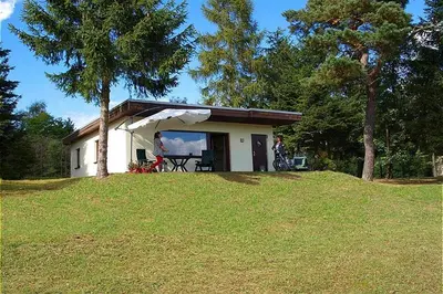 Ein Garten an der Unterkunft Vulkaneifel Type L-A4
