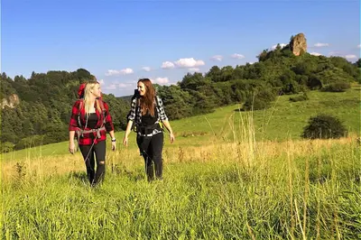 Gäste, die in der Unterkunft Vulkaneifel Type L-A4 übernachten
