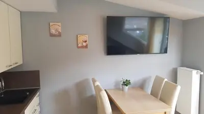 TV/Unterhaltungsangebot in der Unterkunft Anitas Ferienhaus
