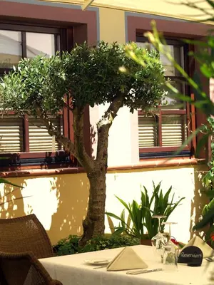 Ein Balkon oder eine Terrasse in der Unterkunft Blesius Garten