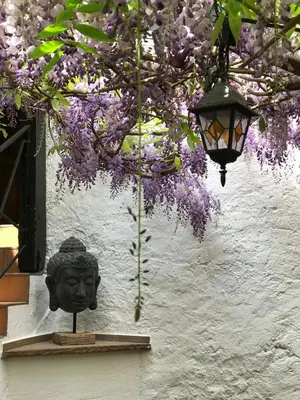 Ein Garten an der Unterkunft Hotel Doctor Weinstube