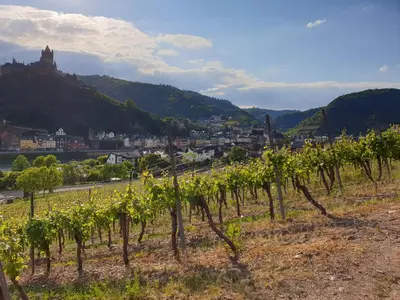 Ein allgemeiner Bergblick oder ein Berglick von der Pension aus