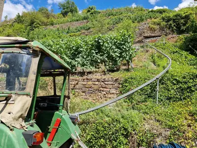 Ein Garten an der Unterkunft Weingut Haxel