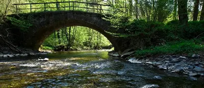 Naturlandschaft in der Nähe der Ferienwohnung