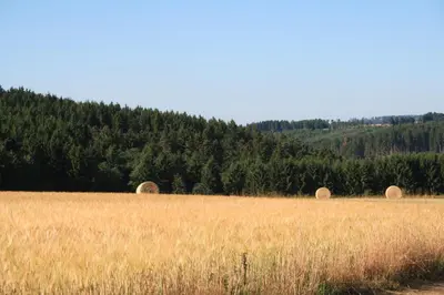 Naturlandschaft in der Nähe des Ferienhauses