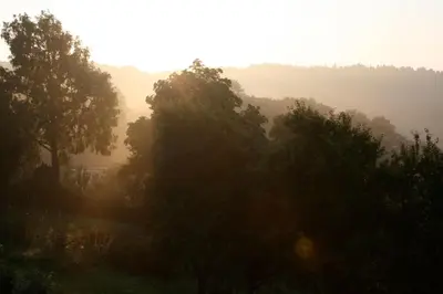 Naturlandschaft in der Nähe der Ferienwohnung
