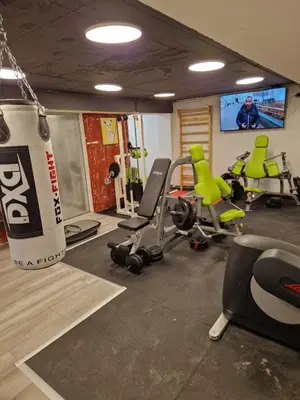 Das Fitnesscenter und/oder die Fitnesseinrichtungen in der Unterkunft City-Appartement Vogel
