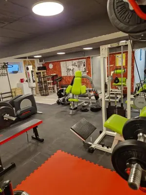Das Fitnesscenter und/oder die Fitnesseinrichtungen in der Unterkunft City-Appartement Vogel