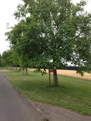 Naturlandschaft in der Nähe der Ferienwohnung
