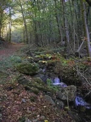 Naturlandschaft in der Nähe der Ferienwohnung
