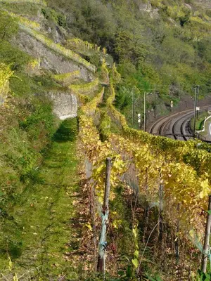 Naturlandschaft in der Nähe der Pension