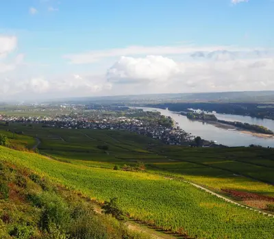 Naturlandschaft in der Nähe der Pension