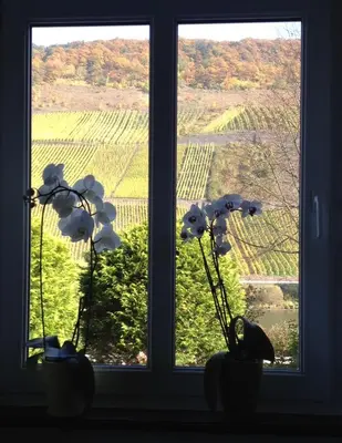 Grundriss der Unterkunft Haus Nummer 1, Moselblick