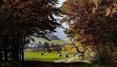 Naturlandschaft in der Nähe der Ferienwohnung