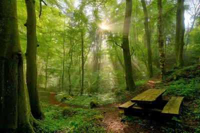 Naturlandschaft in der Nähe des Hotels