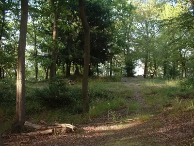 Naturlandschaft in der Nähe der Pension