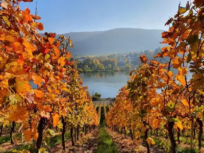 Naturlandschaft in der Nähe des Hotels
